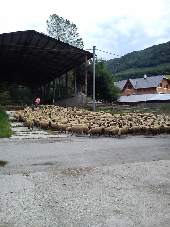 Hotel Penzion Drienovkou Považská Bystrica Zewnętrze zdjęcie