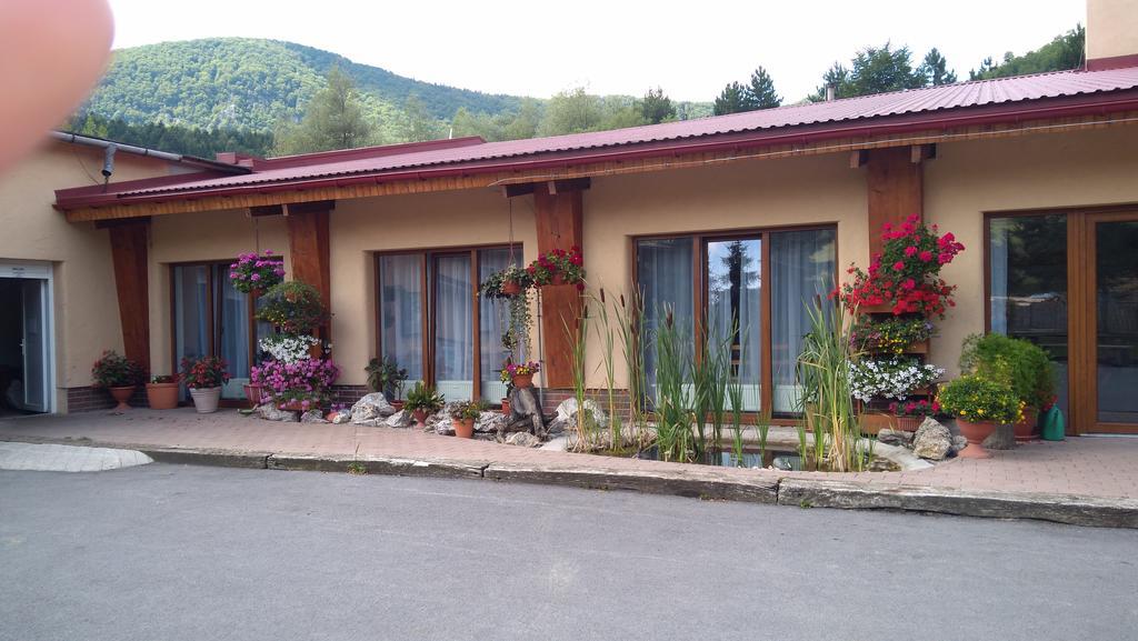 Hotel Penzion Drienovkou Považská Bystrica Zewnętrze zdjęcie